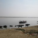 신의 젖줄 이미지