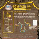 45 | 전북천리길 무주 예향천리 금강변마실길 2코스 1시간 45분 소요 8킬로미터 완주 후기