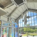 장고목 | [당진 카페] 힐링 명소 장고목 내돈내산 후기, 장고항 근처 카페 추천