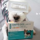 맘편한 동물약국 이미지