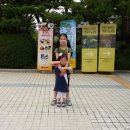 와일드라이프스튜디오