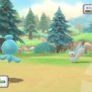 포켓불독 이미지