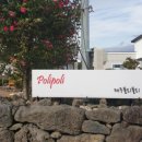 제주폴리폴리 이미지