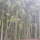 센텀 행정사 사무소 이미지