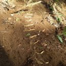 복합영농 이미지