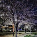 삼성현역사문화공원 이미지