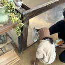 오정어린이집 | 서울 근교 동물 먹이주기 체험 농장, 경기 부천시 오정구(김포공항 인근) 나눔농장