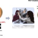 미사성모안과의원 이미지