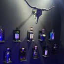 퓨전아지트 이미지