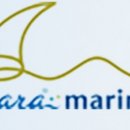 아라주유소 이미지