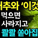 양배추와 함께 먹으면 보약되는 음식 3가지와 레시피 총정리! 값비싼 영양제 대신 '이것' 드세요 I 변비에 좋은 음식, 위염에 좋은.. 이미지