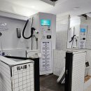 댕댕워시 이미지