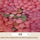 스마일팡팡 | 아이들 체력 방전시키기 딱｜병점 키즈카페 다녀온 날