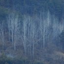 기억 여행- 즐거운 이미지