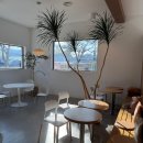곡성-202 | 곡성 기차마을 카페 단편 주차, 메뉴, 내돈내산