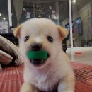 비로소, 여름 이미지