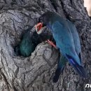 연일읍 중명리 이미지