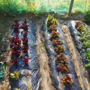 선애황토방 이미지