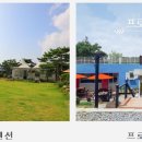 아리지 핀란드 이미지