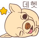 봉봉카라반 이미지