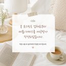 와이즐리 알파CD 제로파우더 솔직 후기 – 식사 전 간편하게 챙기는 체지방 관리 습관