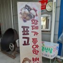 솔빛농장 | 경기북부 귀농 귀촌 지원센터 선도농장 솔빛 농원 방문하다.