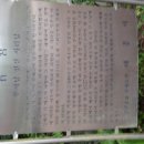 옥현상가 | 부산(태종대혹서기마라톤)