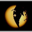 이영춘「풀잎」 이미지