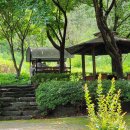 황토메타길 이미지