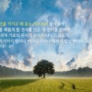 예루살렘미용실 이미지