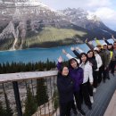 (주)여행이좋은사람들 이미지