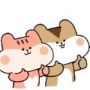 둔산로101번길 이미지