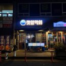 물회가 막회가 싸다구 | 대전 봉명동 대방어 맛집 깻잎막회, 맛있는 해물들의 향연...모임은 꼭 여기서