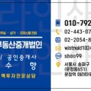 테라부동산중개 이미지