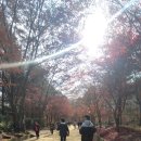 조령농장 | 문경 여행 코스 2일차 사과농장체험 문경새재길 유명맛집 새재할머니집