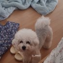 엘리웨이 CU | 5월의 딩구르르