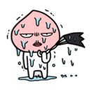 오장어 이미지