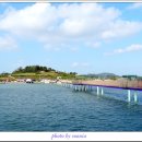 전라남도 신안군 안좌면 퍼플교 이미지