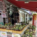 생활용품 싸게파는집 이미지