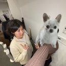 더가드너 이미지