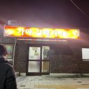 가야갈매기