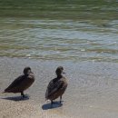 허한의원 이미지