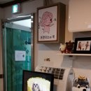 프란다스의 개 | 부산 애견카페. 프란다스의 개
