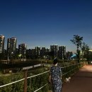 미즈유외과의원 이미지