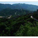 만리장성식당 이미지