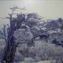 식현2리 이미지