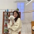 쪼식이