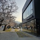 공주우체국 2층 화장실 | ☕ 공주 동학사 스타벅스DT점 후기｜벚꽃뷰 맛집! 가족 나들이 &amp; 개인 작업 모두 추천 🌸