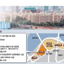 압구정-116 이미지