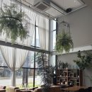 커피팀버 장유 | 커피팀버 내돈내산 후기